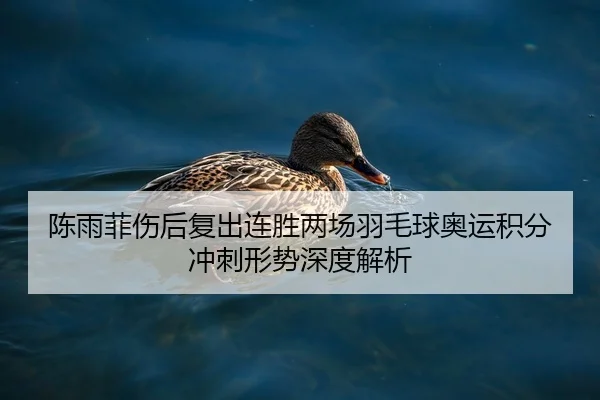 陈雨菲伤后复出连胜两场羽毛球奥运积分冲刺形势深度解析